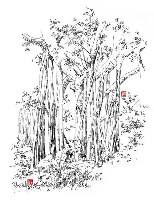 素画:钢笔画榕树系列05