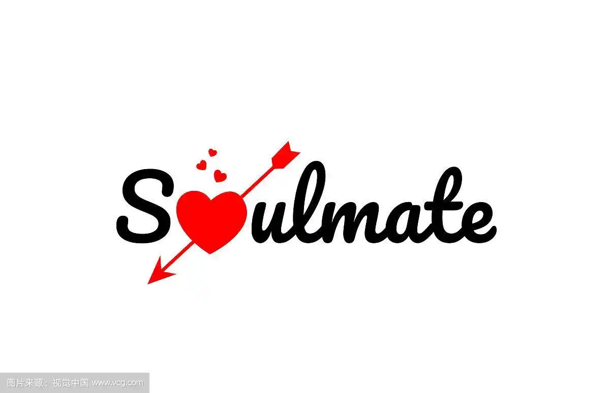 灵魂伴侣文字排版设计标志图标