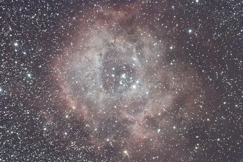 昴星团和玫瑰 附fit下载