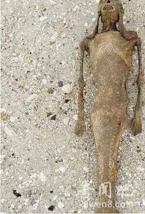 67女娲真身吓人图片