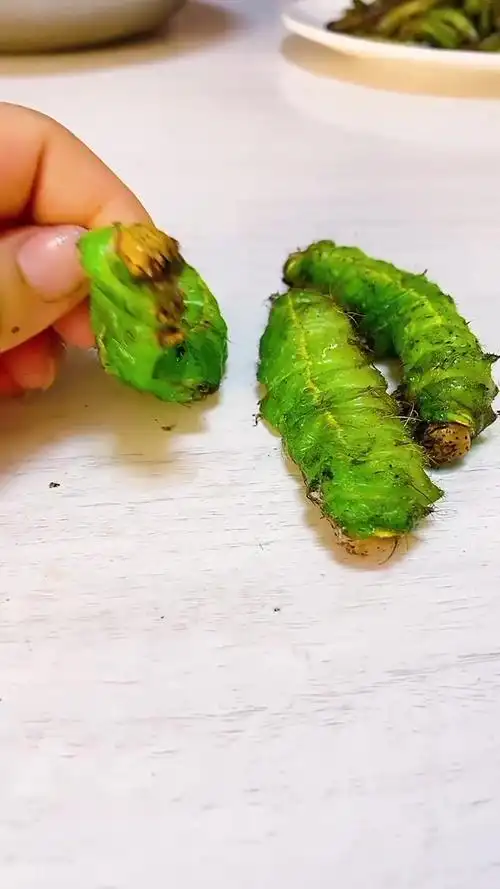 油炸大青虫啥味?火候轻点但超香有嚼头!
