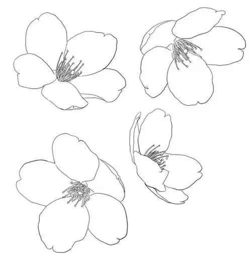 樱花简笔画樱花简笔画手绘