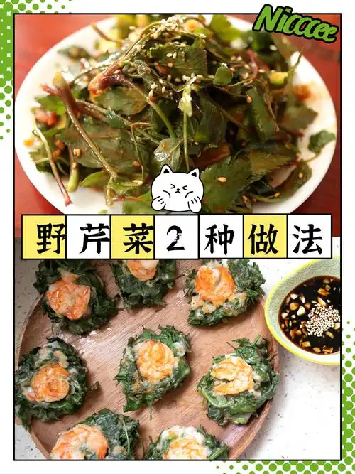 野芹菜2种吃法凉拌做成小饼做汤都ok