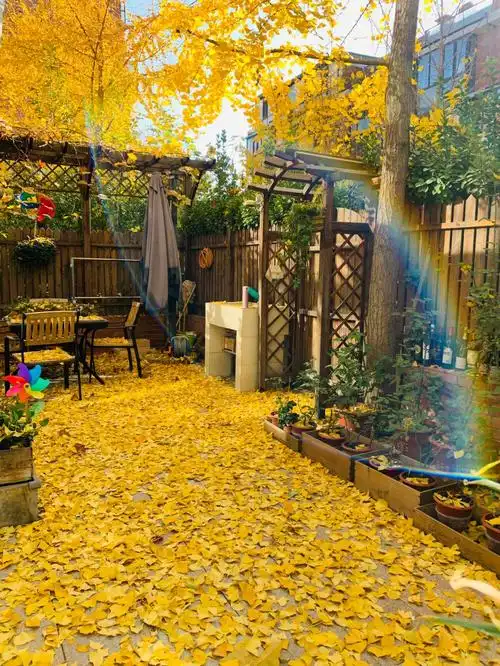 植物生活家和26077盆植物生活不可能无聊