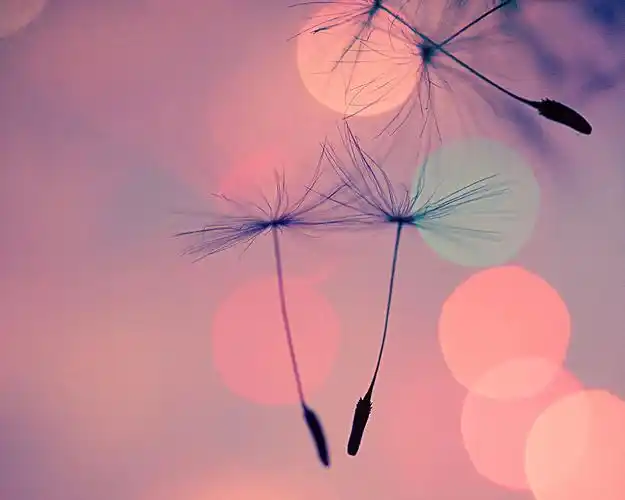 小清新唯美意境高清壁纸第七辑高清大图预览其它尺寸_风景壁纸下载_美