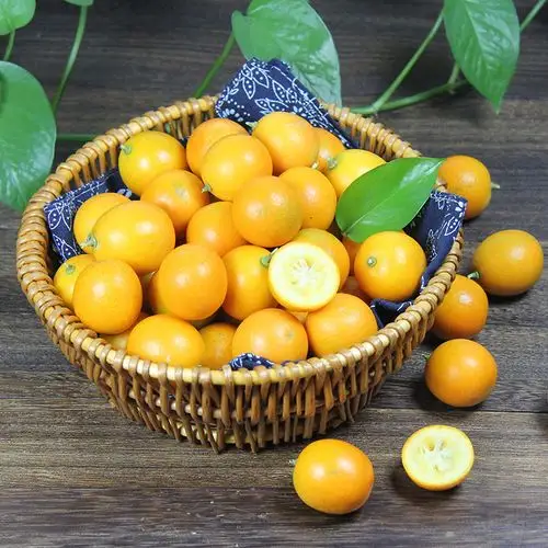 桂林小金桔2斤装 新鲜水果 广西阳朔特产_7折现价26.8元