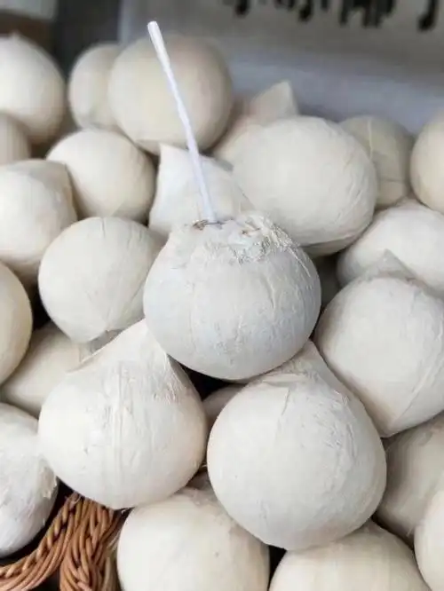 奶香奶香的小椰子05