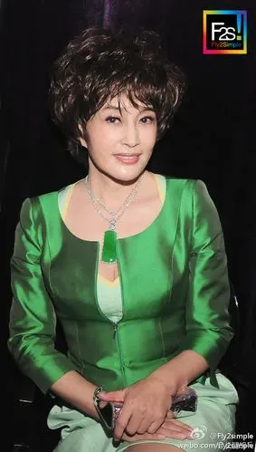 盘点刘晓庆价值连城的奢华翡翠(图)