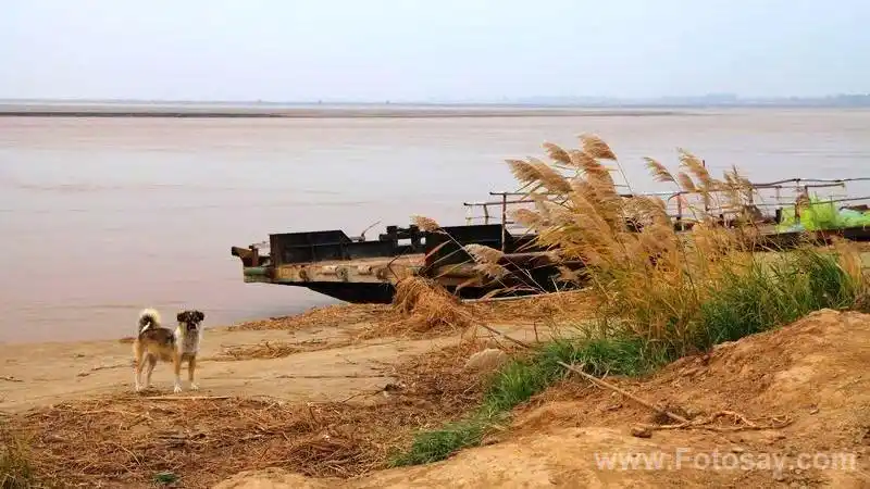 黄河边