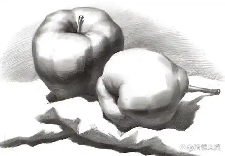 静物素描,苹果梨组合
