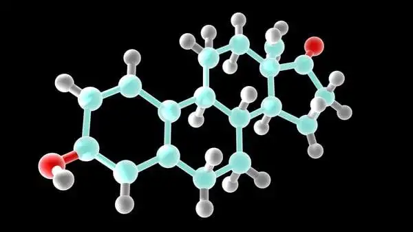 estrogen molecule