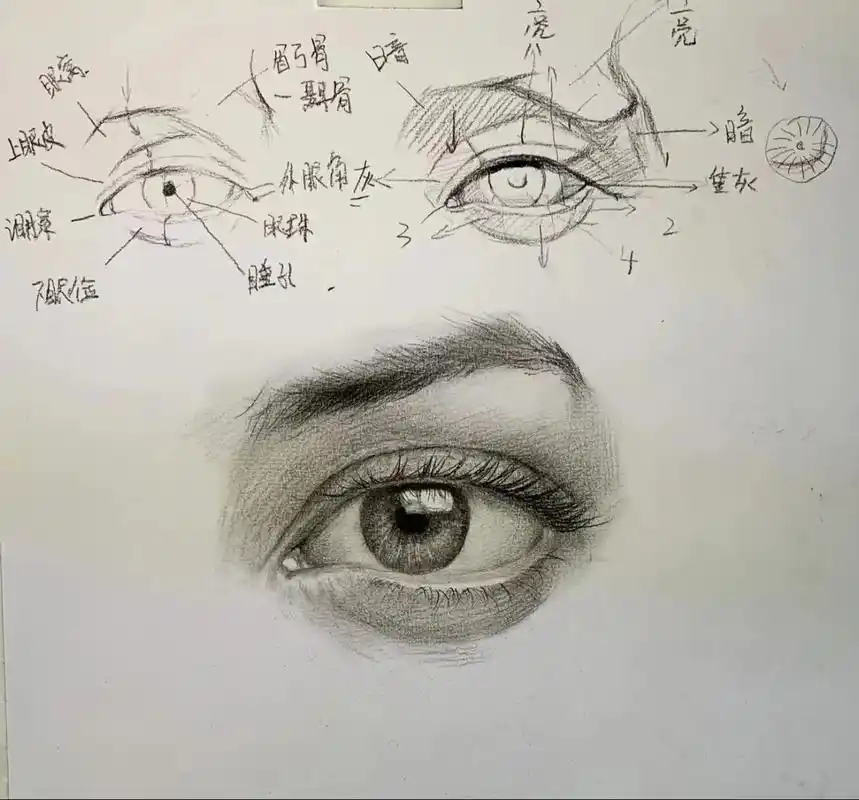 超简单的素描眼睛画法.#图文种草机 ##素描 #零基础教学  - 抖音