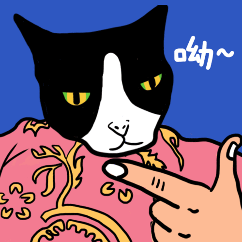 胶圈动态表情包