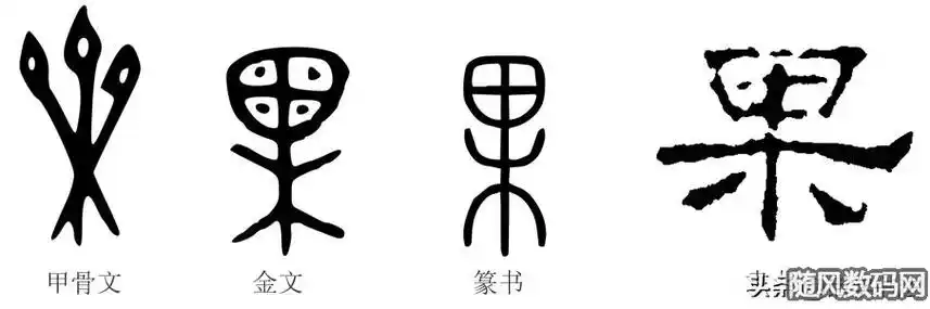 一年级语文同步生字"果",这样学书法既有趣又能写好字