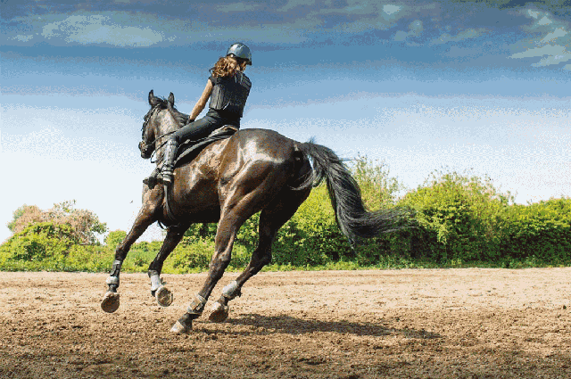 640_425gif 动态图 动图