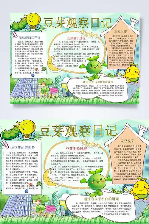 豆芽观察日记植物生长小报word