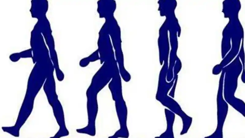 正常走路脚掌落地顺序是什么 - 久教育(www.9jiaoyu.com)