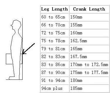 身高176左右腿长87cm左右正常吗