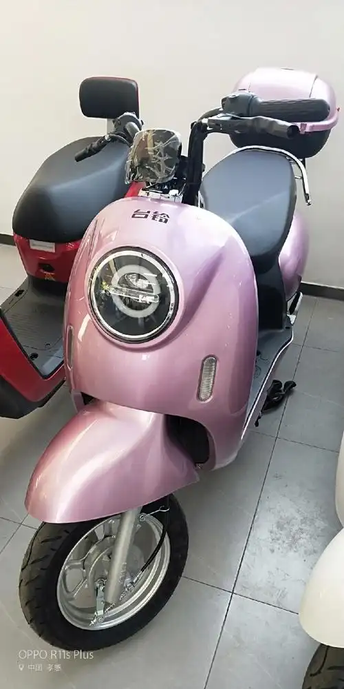 台铃 时尚小龟王 萌露