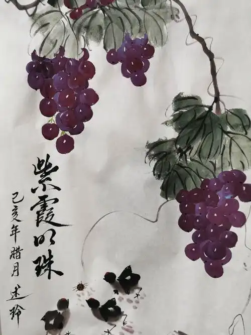 国画欣赏一一葡萄