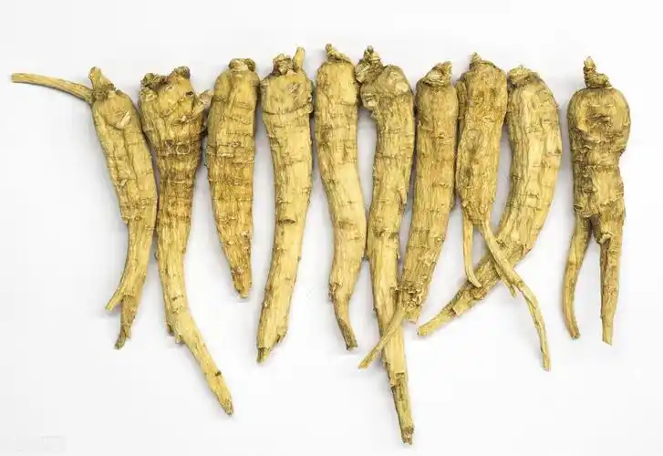 野山参与园参(种植人参)的区别