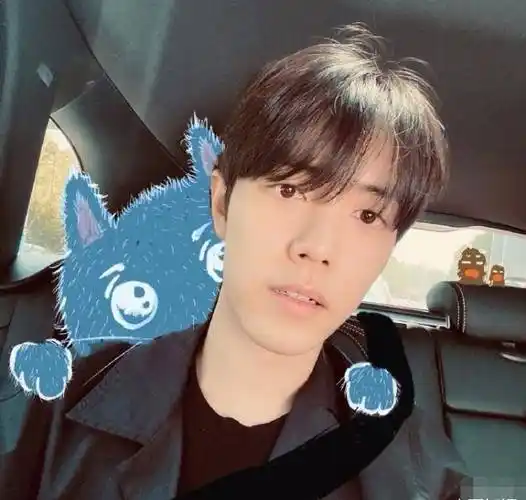 照片中,肖战一身黑色朴素装扮,在车中留下了自拍.