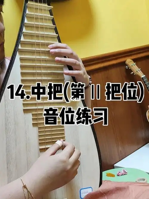 闵季骞版琵琶初级教材