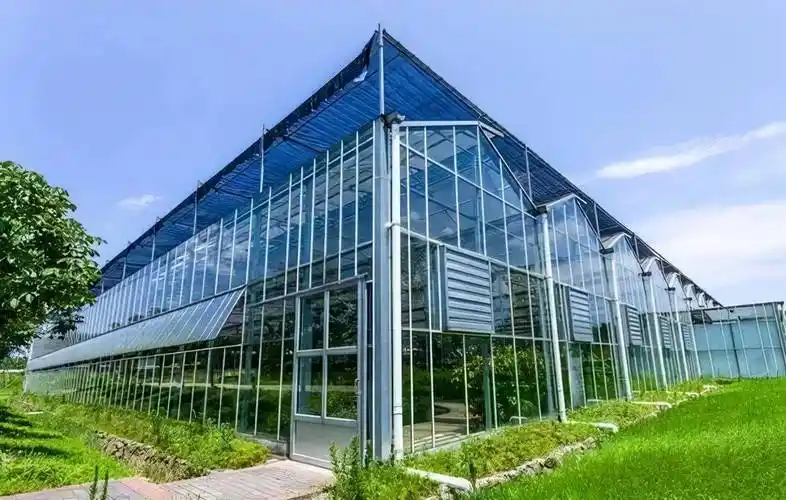 玻璃温室在使用中应注意哪些问题67