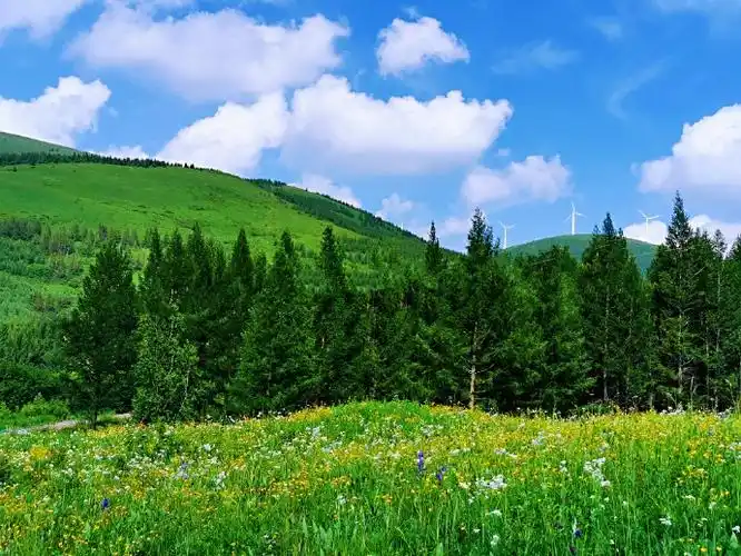 稀树草原美景,邂逅我从来没有想到的东西-杨孝文的专栏 - 博客中国