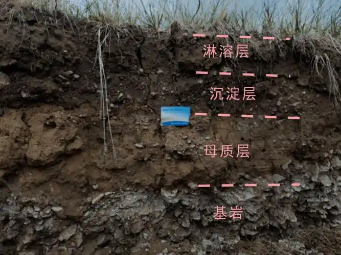 关注疫情中的荒漠,心灵荒漠化同样可怕_沙漠