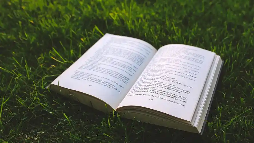 翻开的书本唯美静物写真高清宽屏桌面壁纸