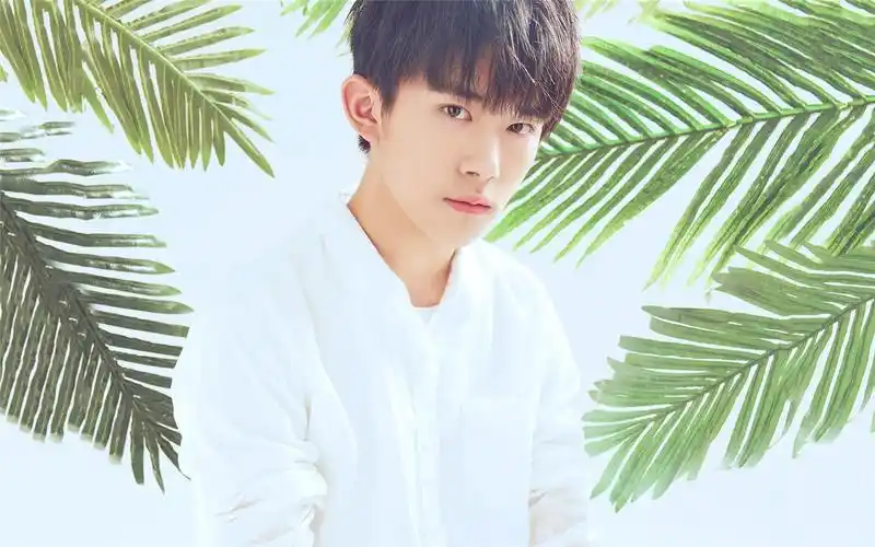 tfboys白衬衫帅气写真高清电脑桌面壁纸