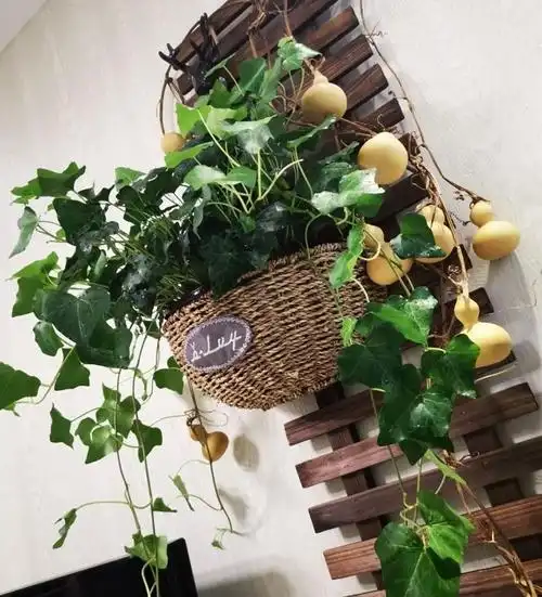 化煞葫芦一串挂件工艺品多用横梁胡门葫芦