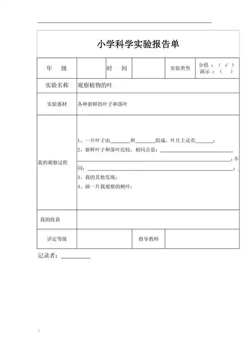 观察植物的叶报告单