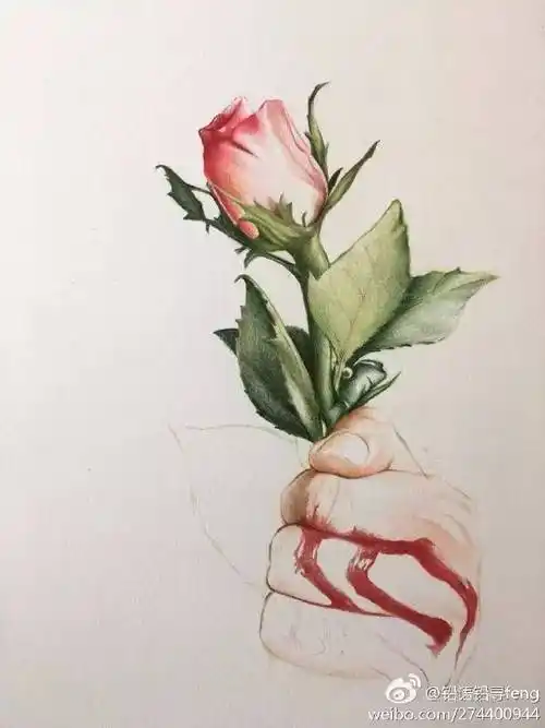 来自微博@铅语铅寻feng还是摘花的人伤了玫瑰的心?