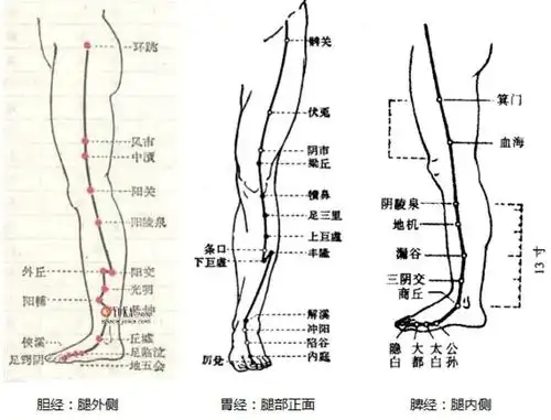 坚持按揉腿部3个穴位加艾灸,瘦腿瘦腿瘦腿日志