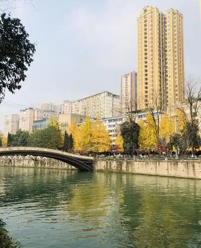 成都府南河畔波光粼粼阳光灿烂落叶飞舞风景如画