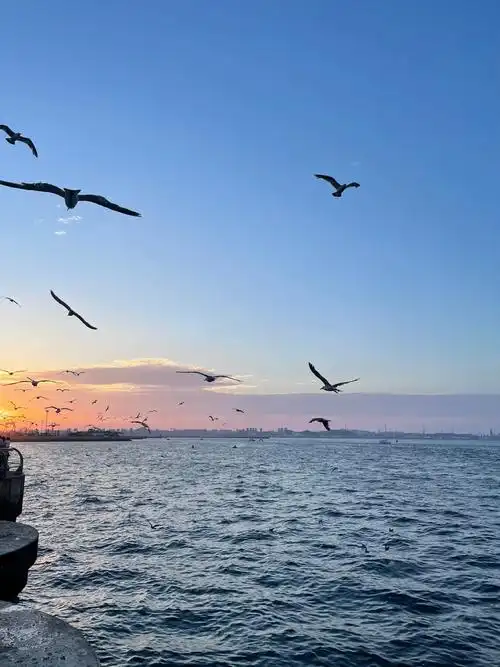 大连三天跟团旅游攻略大连有哪些旅游景区大连美景一网打尽