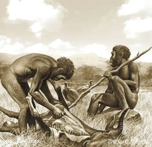 类似现代人的南方古猿,她的名字叫"露西",她被公认为我们人类的始祖