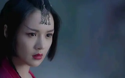 山河令毒菩萨赵茜72花间酒72