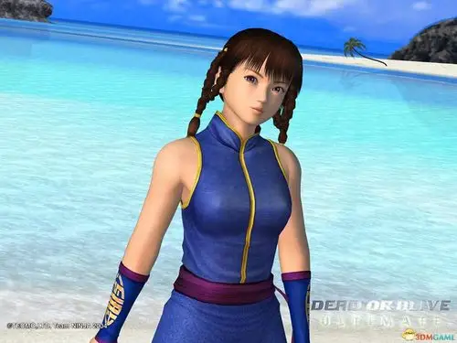 《死或生(dead or alive)》系列角色高清壁纸