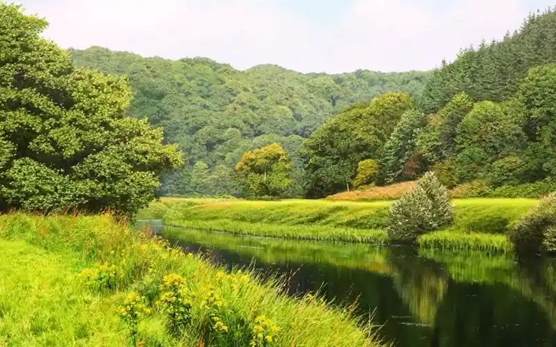 超写实油画风景 - 画大幅的风景 1 - michael james smith
