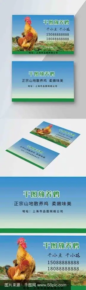放养鸡名片图片