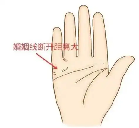 感情线婚姻线(感情线婚姻线事业线分别是哪个?