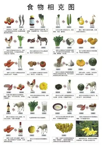 食物相克的真相每天准备宝宝餐食的你一定要了解