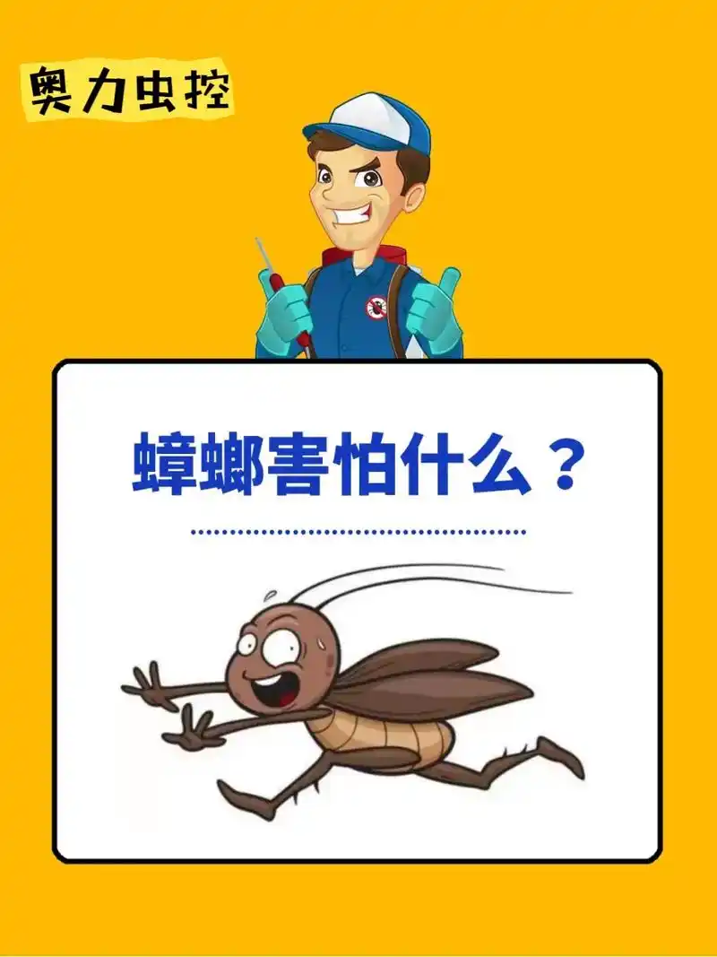 蟑螂怕什么?你被蟑螂问题困扰吗?你知道蟑螂 - 抖音