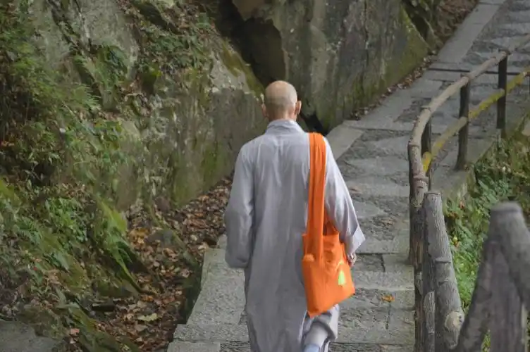 遇见大佛 写美篇                              父亲——背影