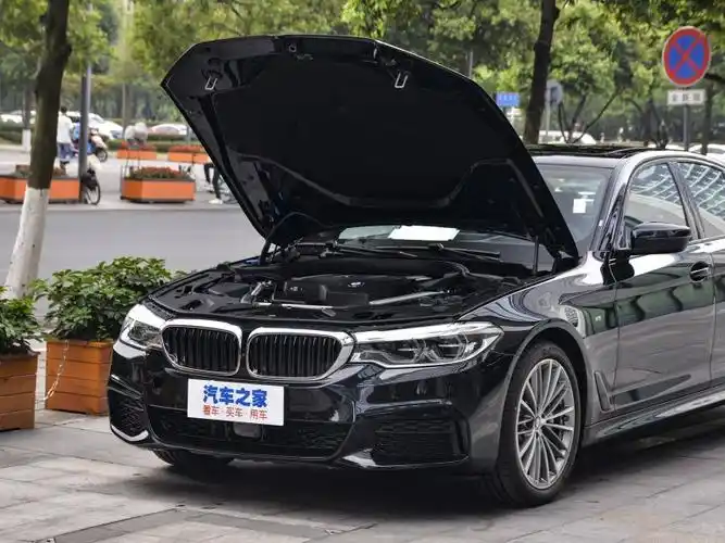 宝马(进口) 宝马5系(进口) 2020款 530i 风尚版 m运动套装