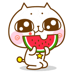 萌宠gif猫咪gif吃西瓜gif咀嚼gif
