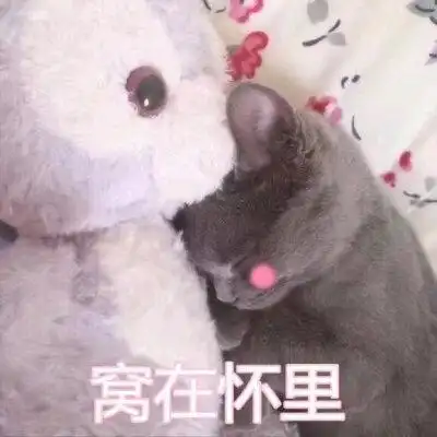 窝在怀里表情包